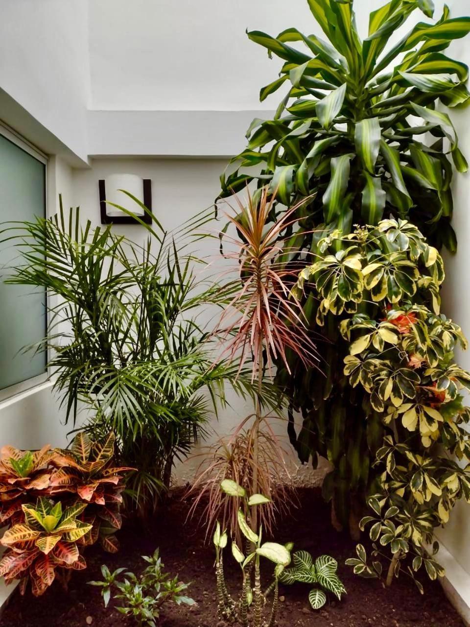 Hotel Jardin 38 Пасто Экстерьер фото